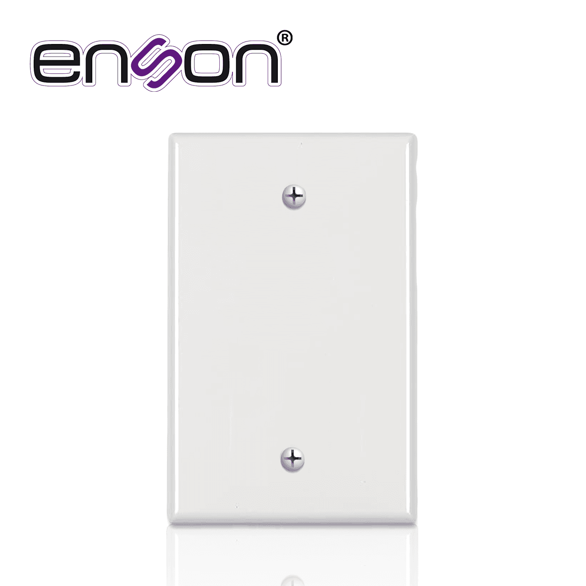 TAPA CIEGA PARA CAJAS RECTANGULARES ESTANDAR COMPATIBLE CON CAJAS THORSMAN ENSON ENS-948 BLANCO INCLUYE TORNILLOS. - Miniatura 2