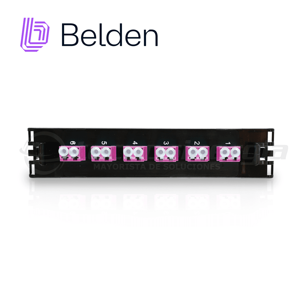 FRAME FX ECX MULTIMODO BELDEN FF4X06LD / OM4 / ERIKA VIOLETA / LC DUPLEX / 6 PUERTOS - Miniatura 3