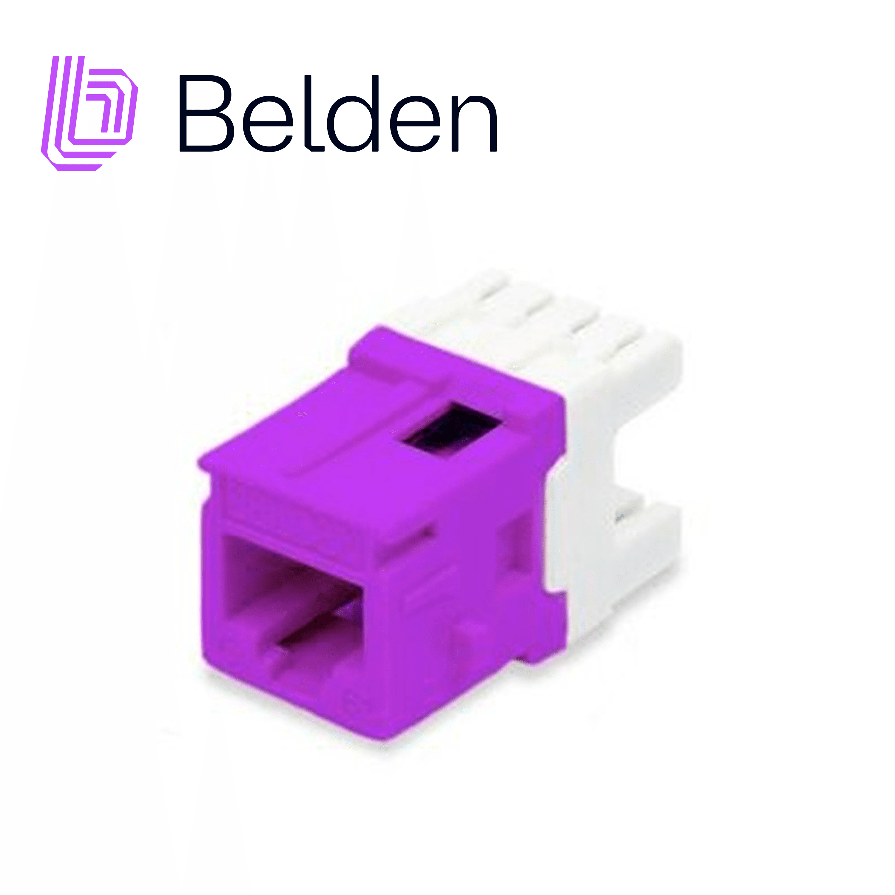 CONECTOR MODULAR JACK CAT6+ RJ45 BELDEN AX104194 / KEYCONNECT / INTERIOR / PURPURA / PIEZA - Miniatura 2